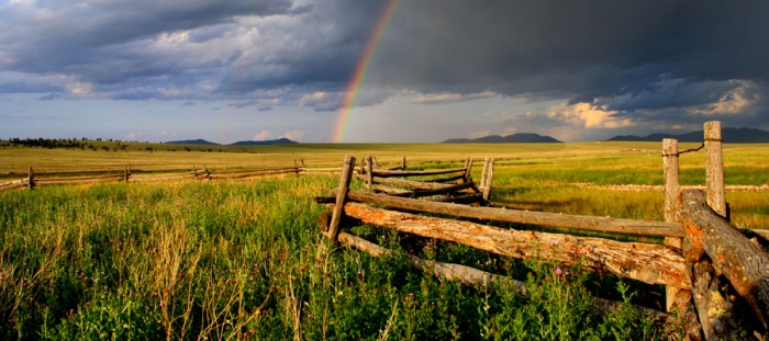 Mirr Ranch Group - The Preserve with rainbow